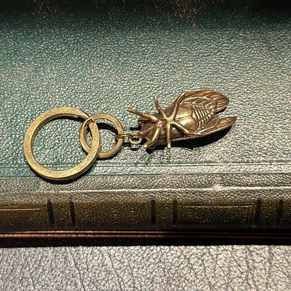 Detailed Solid Brass Cicada Keychain on Solid Brass Split Rings - Picture 5 of 10